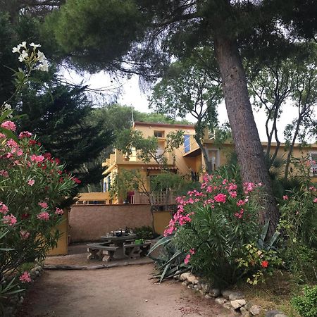 Gites De La Massane Argelès-sur-Mer Esterno foto