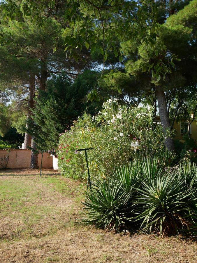 Gites De La Massane Argelès-sur-Mer Esterno foto