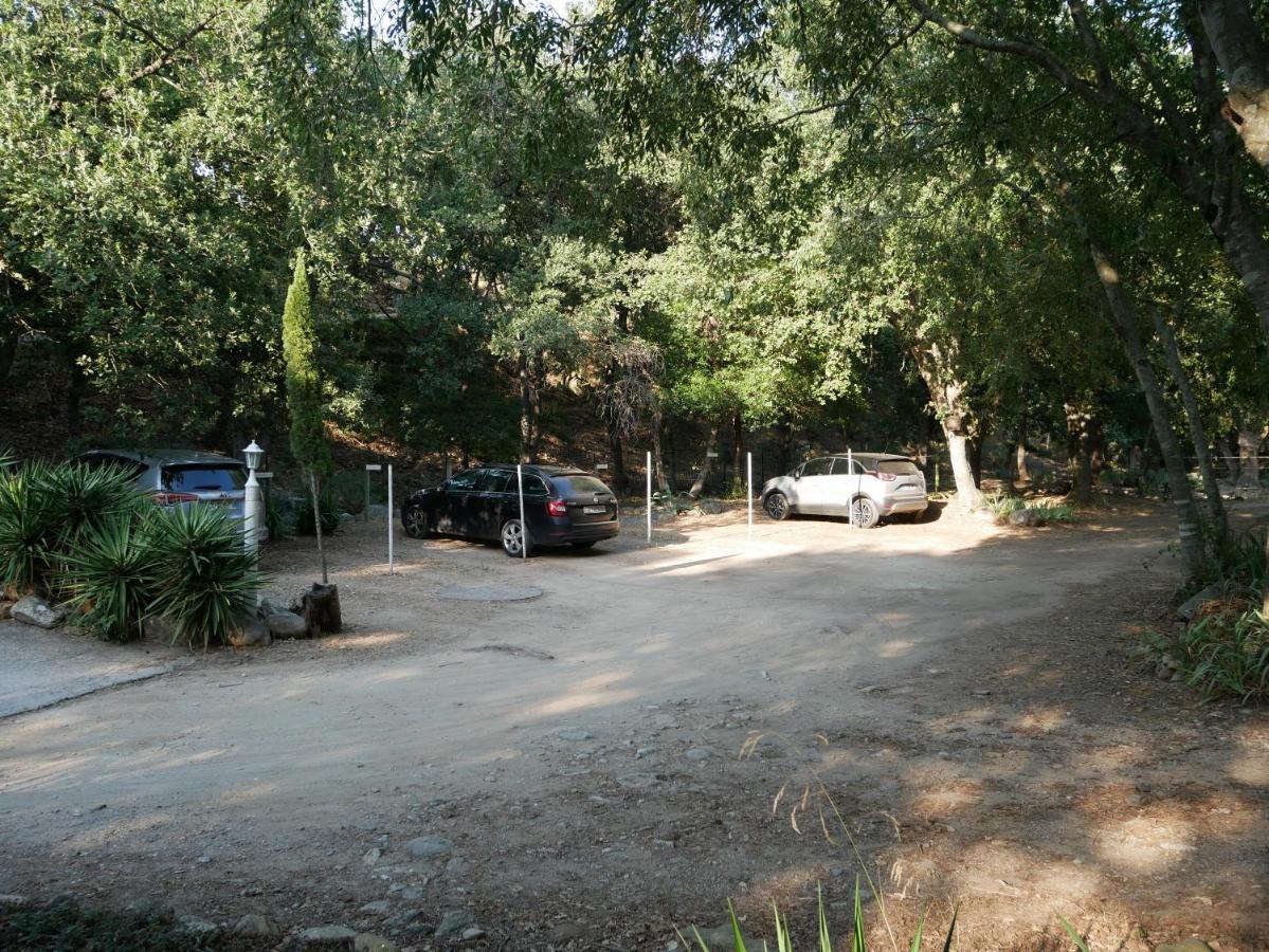 Gites De La Massane Argelès-sur-Mer Esterno foto