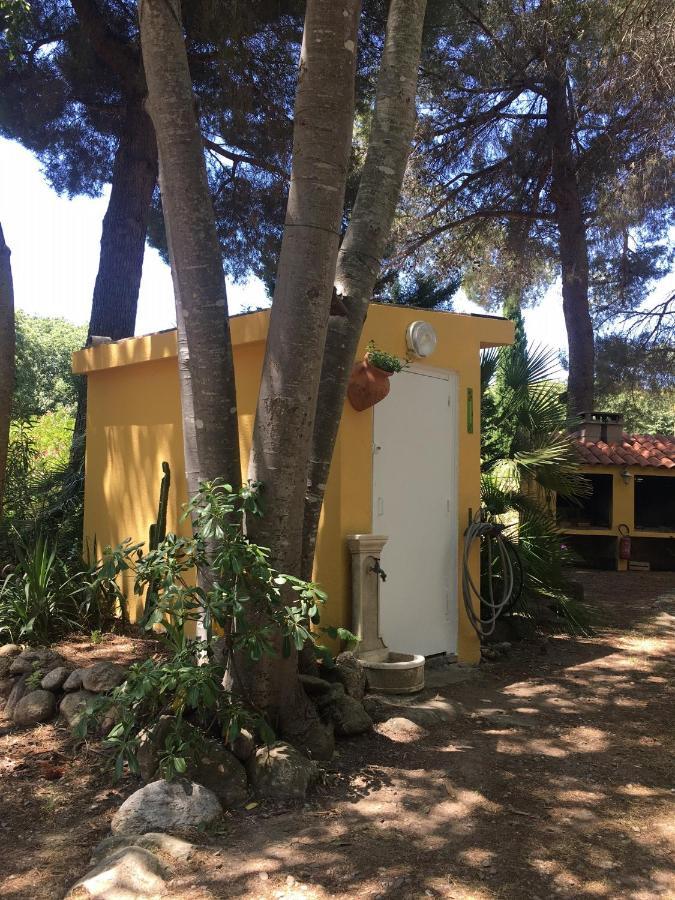 Gites De La Massane Argelès-sur-Mer Esterno foto