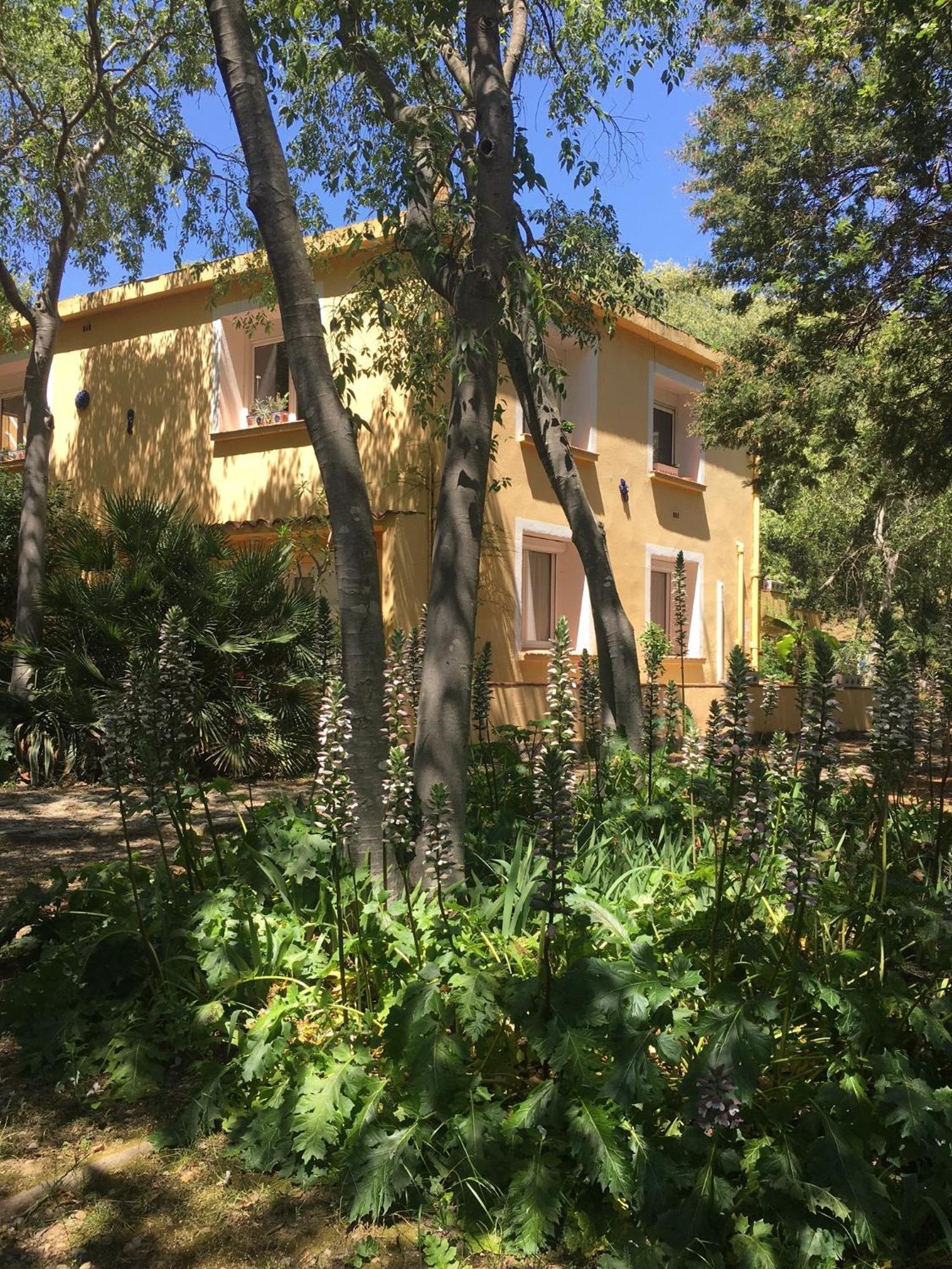 Gites De La Massane Argelès-sur-Mer Esterno foto